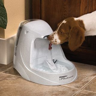 Drinkwell® Platinum Pet Fountain and Charcoal Filter