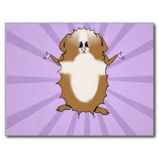 Abyssinian Guinea Pig Comic Blank Post Cards