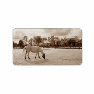 white horse in pasture grazing sepia personalized address label