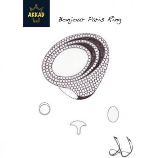AKKAD "Bonjour Paris" Pavé Crystal and Black Enamel Rosetone Gradient R