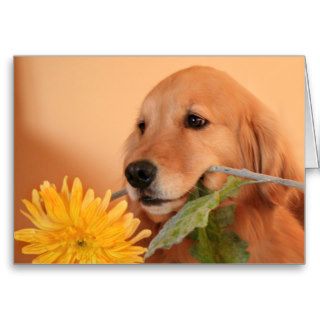 Golden Retriever With Flower Greeting Card