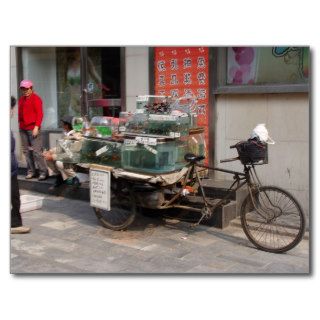 China Bicycle  selling fish Postcards