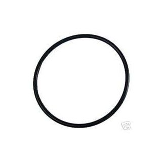 Pentair 350013 Lid O Ring Replacement Pool and Spa Pump  Swimming Pool And Spa Parts And Accessories  Patio, Lawn & Garden