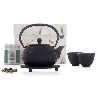 tetsubin cast iron tea set by the exotic teapot