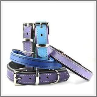 padded leather dog collar by annrees