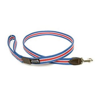 wide striped cotton webbing lead by dogs & horses