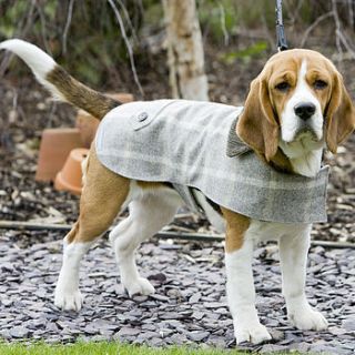 slate tweed dog coat by mutts & hounds