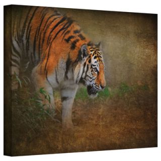 Art Wall David Liam Kyle On the Prowl Gallery Wrapped Canvas Wall