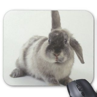 Gray Rabbit with Floppy Ear Mouse Pad