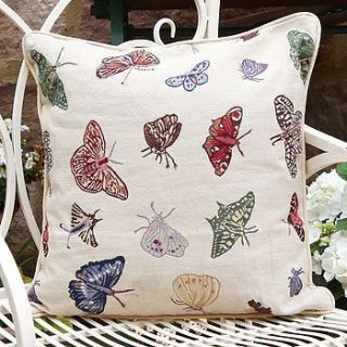 butterfly cushion by dibor