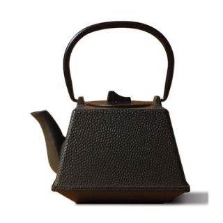 Old Dutch Tetsubin Osaka Teapot