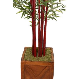 Laura Ashley Home Tall Harvest Bamboo Tree in Planter