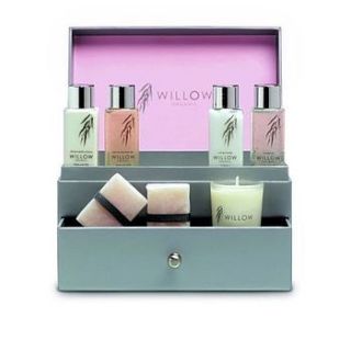 travel beauty trunk by willow organic beauty