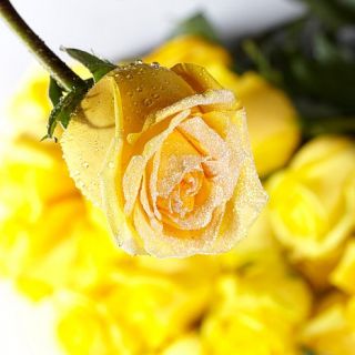 Ultimate Rose 51" Single Stem Yellow Glitter Rose with Vase