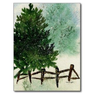 Snowy Pine Tree  Post Card