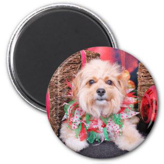 Christmas   Terrier X   Zoey Magnet