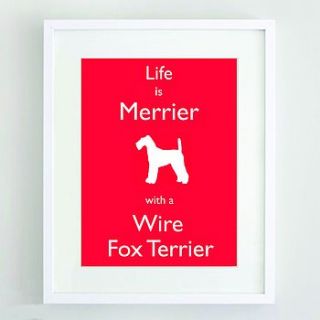wire fox terrier print by forever foxed