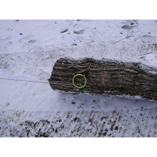 TimberTuff Tools Log Choker Cable with Tow Ring — 3/16in. x 10ft., Model# TMW-38  Log Skidding