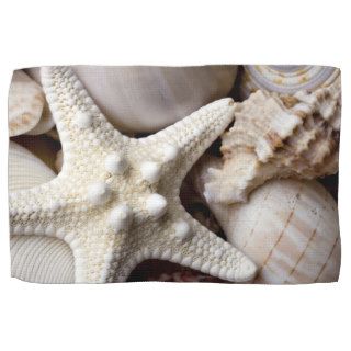 Sea Shell Starfish Background   Beach Shells Towels