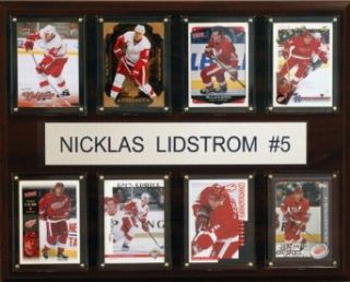 NHL Nicklas Lidstrom Detroit Red Wings Career Stat Plaque  Sports Fan Decorative Plaques  Clothing