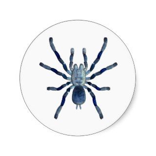 Cobalt Blue Tarantula Stickers