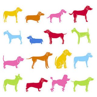 new multicoloured dogs canvas by showler and showler