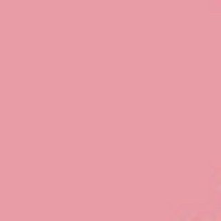 Superior Seamless Paper #17 Carnation Pink 107" X 36'  Photo Studio Backgrounds  Camera & Photo