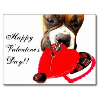Valentine's Day Boxer dog greeting card Post Cards