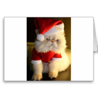 Not So Jolly Santa Cat Greeting Card