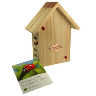 ladybird lodge and flower seeds by plant theatre