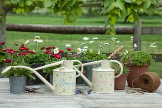 mother's & granny's personalised watering can by chantal devenport designs