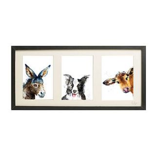 three framed big farm yard animal inky prints by kate moby
