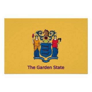New Jersey Flag Print