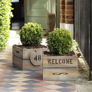 personalised crate   square plantabox with buxus ball by plantabox