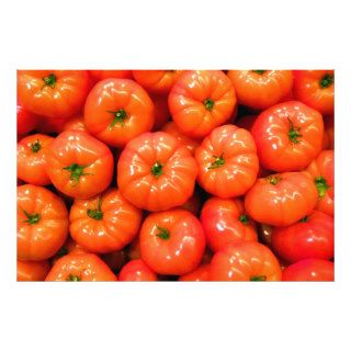 Ripe Red Shiny Tomatoes Photographic Print