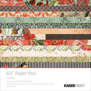 Kaisercraft 6 1/2" x 6 1/2" Curiosity Paper Pad