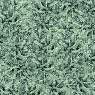 Shop Shaw Area Rug Ultra Shag Rug Sea Grass Green 00305 3'4"x5'6" Rectangle at the  Home Dcor Store. Find the latest styles with the lowest prices from Shaw Rugs