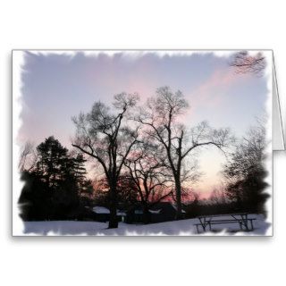 Trees with a sunset greeting cards