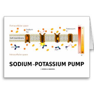 Sodium Potassium Pump (Active Transport) Greeting Cards