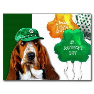 Funny Basset Hound. St. Patrick's Day Postcard