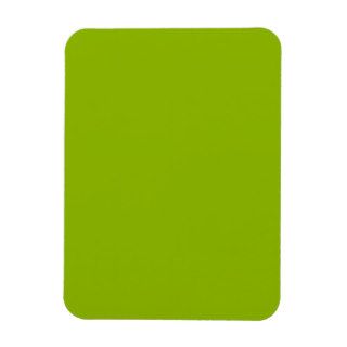 Apple Green Rectangle Magnets