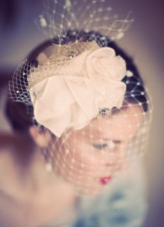 nicola headpiece and birdcage veil by silver sixpence in her shoe