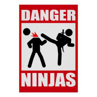 Danger Ninjas Poster