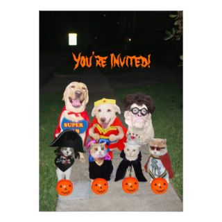 Funny Dogs & Cats Halloween Custom Announcement
