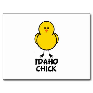 Idaho Chick Postcard