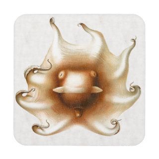 Vintage Octopus Illustration Beverage Coasters