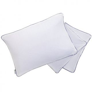 Concierge Collection Cool Case Gel Pillow Cover   Queen