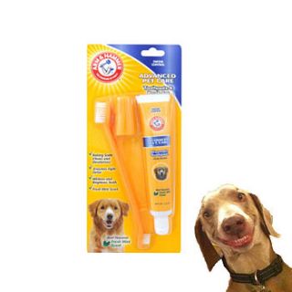 dog toothbrush and paste set by bijou gifts