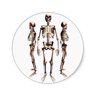 Skeletons Sticker
