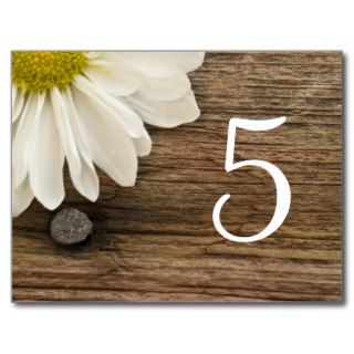 Daisy and Barn Wood Country Wedding Table Number Postcard